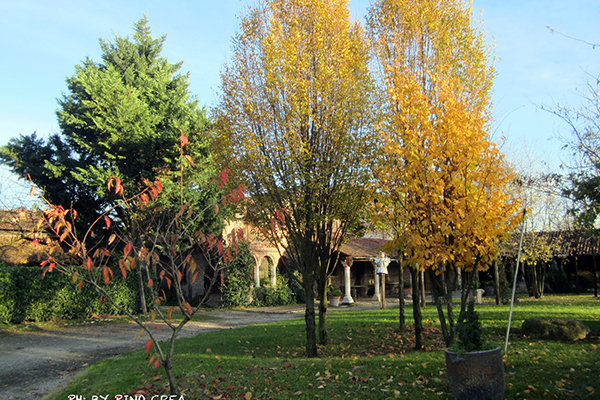 Esterni 5